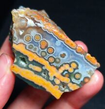 Rare 41G Natural Orbicular Ocean Jasper Rough Stone Healing Madagascar QC280 picture