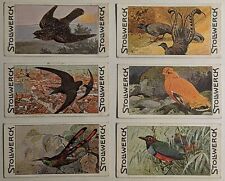 Stollwerck Chocolate Group 13 Trade Card Set Of 6 Birds picture