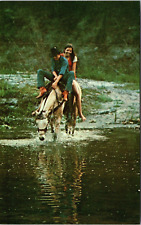 Postcard Couple Horseback Riding Peace River Arcadia Florida [cj] picture
