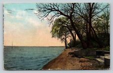 c1914 Scenic Waterfront View ANTIQUE Postcard picture