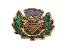 Freemasons Thistle Masonic Lapel pin LP04 picture
