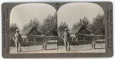 c1900's Real Photo Stereoview A Farmer's Home in Temuco, Chile picture