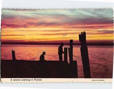 Postcard A serene evening in Florida USA picture