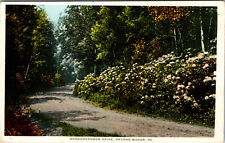 Postcard Rhododendron Drive Pocono Pa.  picture