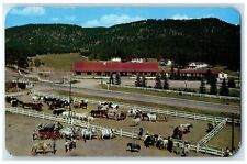 c1950's Panorama Of Paradise Ranch Horses Buggy Ute Pass Colorado CO Postcard picture