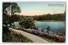 c1930's Drive Along Lake Crawford Paradise Falls PA Handcolored Vintage Postcard picture