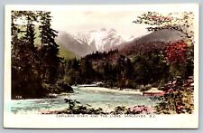 Postcard Vtg Canada Capilano River And The Lions Vancouver Nature picture