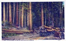 WASHINGTON WA - A Log Train In One Of Washington's Forests Postcard picture