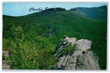 1960 Rock Gardens Mountain Cheaha State Park Alabama AL Vintage Antique Postcard picture