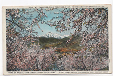 1929 Liberty Orchard Co. Cashmere Washington Aplets Candy Antique Postcard picture