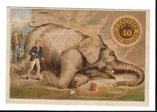 Trade Card~Jumbo Elephant Tied ~J & P Coats Cotton Thread~4 x 2-3/4~ c 1880s VG picture