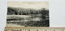 1910 POSTCARD Lake Pleasant PLEASANTVIEW NY Lakeside Scene  P1 picture