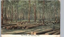 HATTIESBURG MS PINE FOREST antique postcard mississippi deep south logging picture