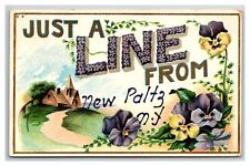 New Paltz new york ~ Revolutionary war city ~ Just a line picture