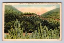 PA-Pennsylvania, Site Of Ole Bull's Castle, Antique, Vintage Souvenir Postcard picture