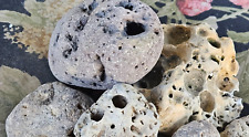 5 LBS Natural Holey Beach Rocks Hag Stone large 1 1/2” Hole Magic Aquarium picture