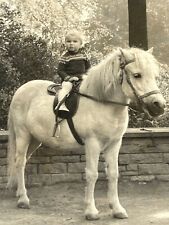 R3 Photograph Girl Pony Horse Germany 1965 Artistic 4x6 picture