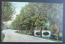 Scene in Forest Lawn Cemetery Buffalo NY Posted Postcard picture