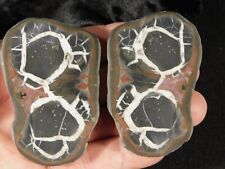 Split and Polished SEPTARIAN Nodule From Morocco 135gr picture