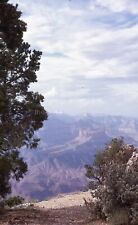 GRAND CANYON 35mm FOUND SLIDE Photo COLOR Vintage Transparency 31 T 12 P picture