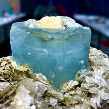 6.56LB Museum Top Grade Aquamarine mica Terminated Crystals Specimen picture