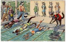 Eugen Hartung Cats Postcard 4769 - Copyright Max Kunzli, Zurich - The Swim Meet picture