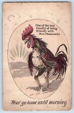 Lonsdale Minnesota MN Postcard Rooster Hen Pheasant c1910's Antique Posted picture