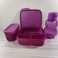 Tupperware Lunch Set Lunch-it, Rectangle Container, Penguin Water Bottle New  picture
