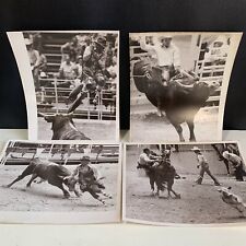 Vintage Rodeo Sepia Prints 8x10, Bull Riding, Rodeo Clowns, Calf Roping, Cowboys picture