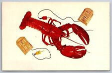 A Maine Lobster & 2 Miniature Model Harvest Traps Postcard P2 picture