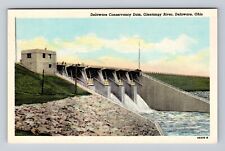 Delaware OH-Ohio, Delaware Consevatory Dam, Olentangy River, Vintage Postcard picture