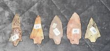 Authentic Prehistoric Native American Indian Artifacts - 5 Floridian Points picture