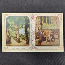 RARE Atq c. 1920s Postcard PALM BEACH FLORIDA + KEY WEST FLORIDA MILK DELIVERY picture