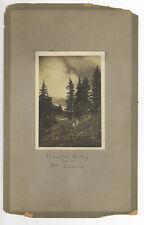 c1915 Photograph Paradise Valley near Mt Tacoma WA picture
