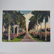 A Royal Palm Drive Miami Florida FL Vintage Linen Postcard picture