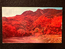 Vintage 1959 Autumn On Grandfather Mountain In Western North Carolina Postcard  picture