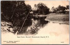 1909 Sand Bank Bennett Homestead Angola New York NY Antique Posted Postcard picture