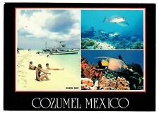 1987 Postcard Cozumel Mexico - Beach Divers Rest - Fish Travel Card Collection picture