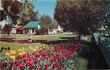 Pella Iowa~Historical Village~Mill Pond~Tulip Beds~1950s Postcard picture