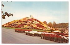 Vintage Ott's Exotic Greenhouse Postcard Schwenksville PA Unposted Chrome picture