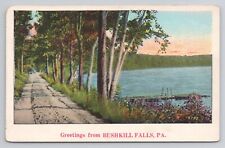 Postcard Greetings From Bushkill Falls Pennsylvania c1920 picture