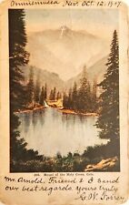 1907 Mount Of The Holy Cross Colorado CO Pines Mountains Posted Postcard picture