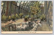 Postcard Bird Cage at Forest Park St Louis Missouri MO Swans Pelican Ducks 1911 picture