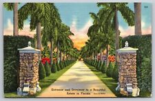 FL Entrance Driveway to Beautiful Florida Estate Palm Tree Lined Linen Postcard picture