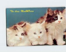 Postcard The three Muscateers picture