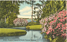 Tropical Lagoon, Florida Cypress Gardens, Winter Haven, FL antique unposted picture