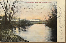 Oneonta Susquehanna River Antique New York Postcard c1910 picture