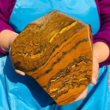14.85LB Natural tiger's-eye slab quartz freeform crystal piece healing decor picture