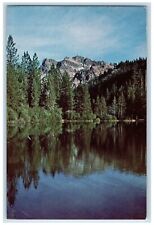 1982 Sand Pond Sierra Buttes Sierra County River Lake Trees California Postcard picture