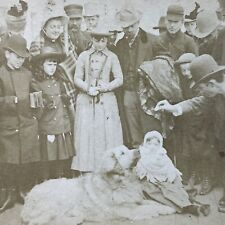 Antique 1887 Crowd Feeds A Golden Retriever Dog Stereoview Photo Card P2918 picture